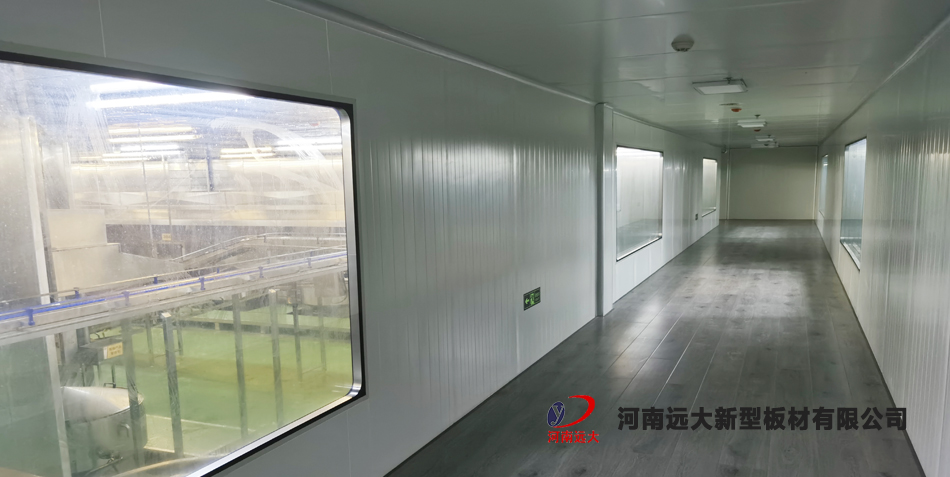 九多肉多項目(圖3)